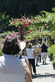 141 - Butchard Gardens  - IMG_1673